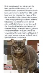 Lost Female Cat last seen  Audley Road Birmingham, West Midlands, England B33 9DY