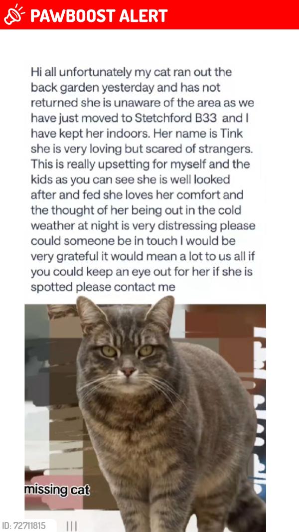 Lost Female Cat last seen  Audley Road Birmingham, West Midlands, England B33 9DY