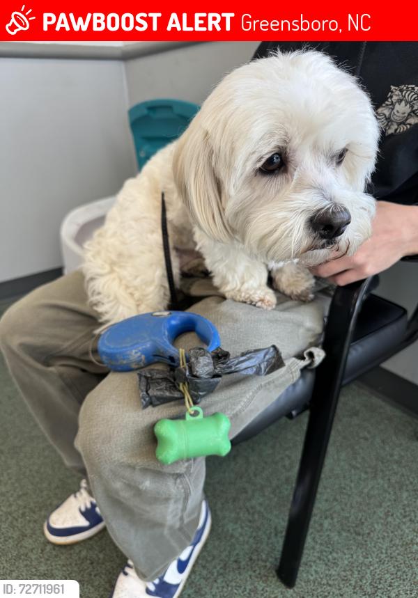 Lost Unknown Dog last seen E Cone Blvd, Greensboro, NC 27408
