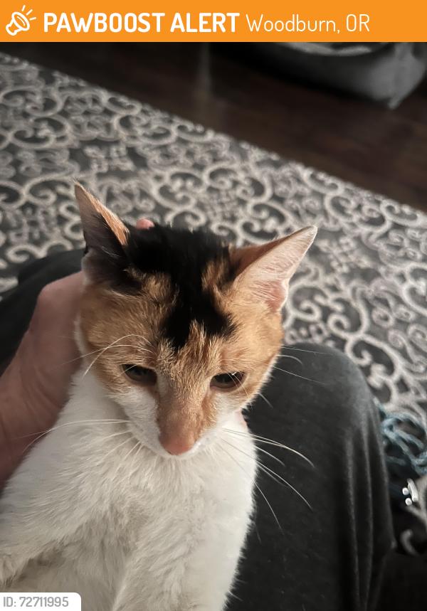 Found/Stray Unknown Cat last seen Turnberry , Woodburn, OR 97071