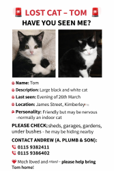 Lost Male Cat last seen A.Plumb and Son, Kimberley, England NG16 2LP