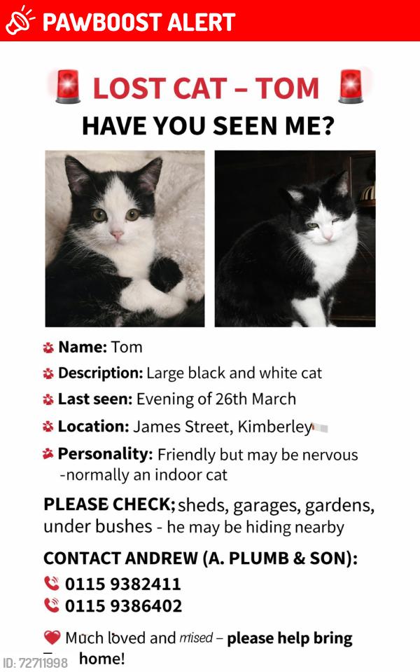 Lost Male Cat last seen A.Plumb and Son, Kimberley, England NG16 2LP