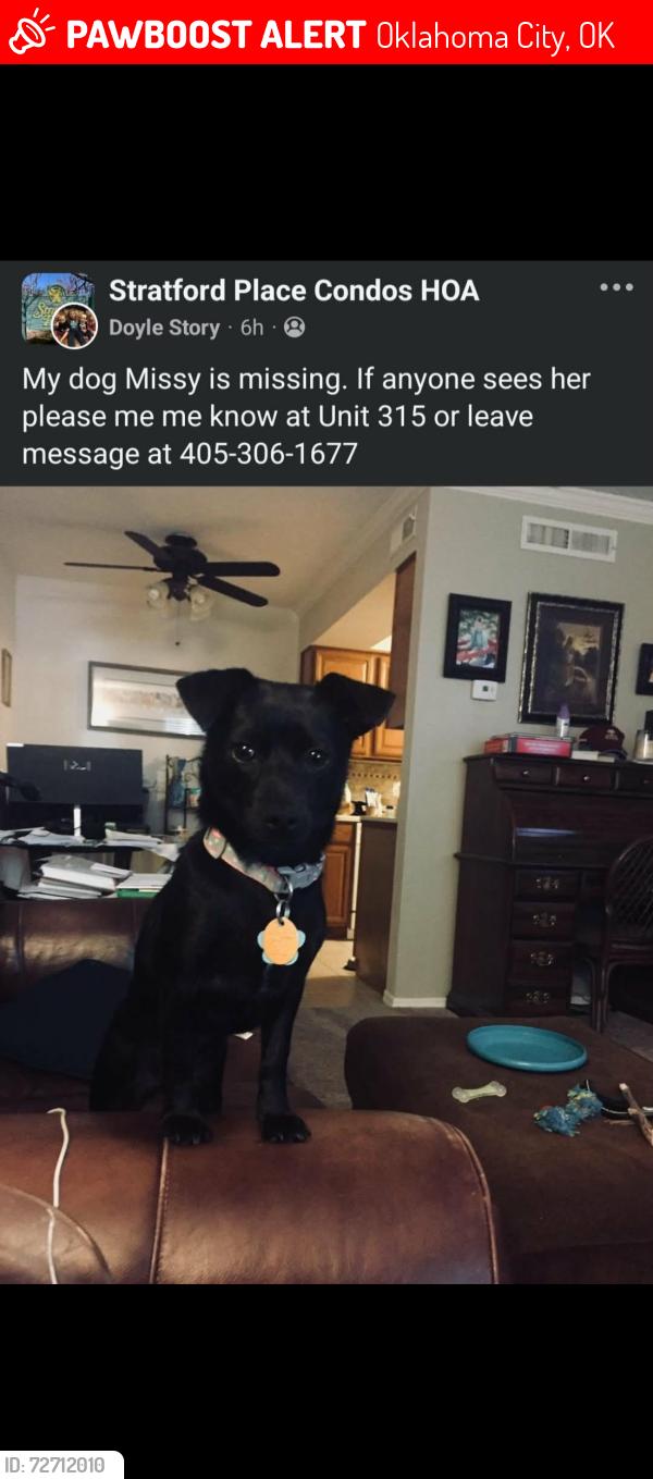 Lost Female Dog last seen NW Hefner and Penn, Oklahoma City, OK 73120