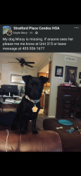 Lost Female Dog last seen NW Hefner and Penn, Oklahoma City, OK 73120