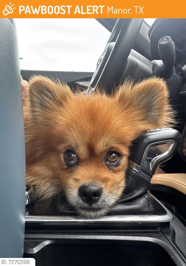 Found/Stray Male Dog last seen Old Kimbro Rd and US 290 , Manor, TX 78653