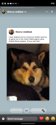 Lost Male Dog last seen Pogue lane, Castle Rock, WA 98611