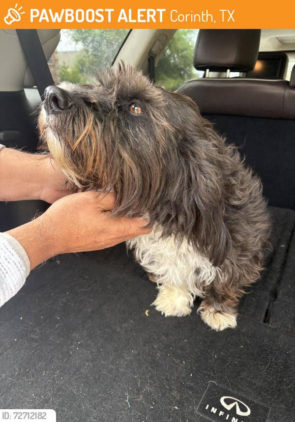 Found/Stray Male Dog last seen Near oakmont on lake Sharon dr, Corinth, TX 76208