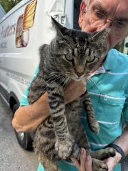Lost Female Cat last seen Powhatan dump, Powhatan, VA 23139