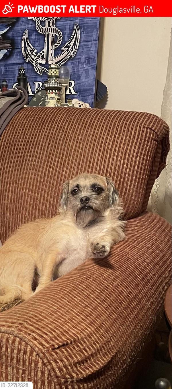 Lost Female Dog last seen N Burnt Hickory , Douglasville, GA 30134
