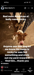 Lost Male Dog last seen Tate drive Anderson sc, Anderson County, SC 29626