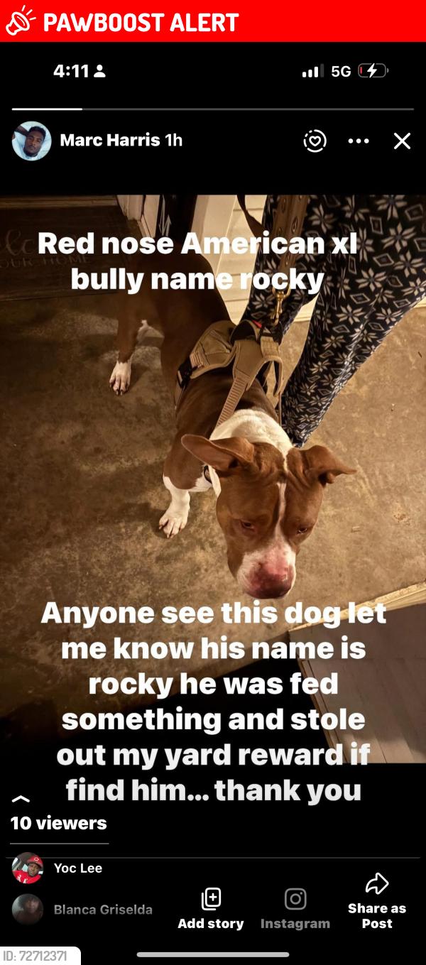 Lost Male Dog last seen Tate drive Anderson sc, Anderson County, SC 29626