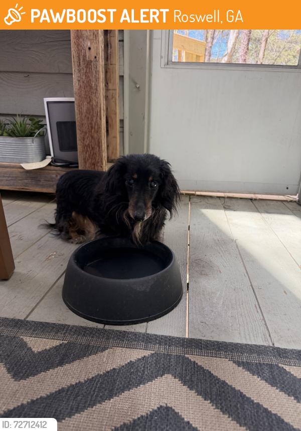 Found/Stray Female Dog last seen Roxborough, Roswell, GA 30076