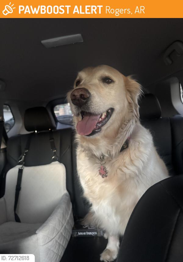 Found/Stray Female Dog last seen Near the apmt complexs on N 40th Street , Rogers, AR 72756