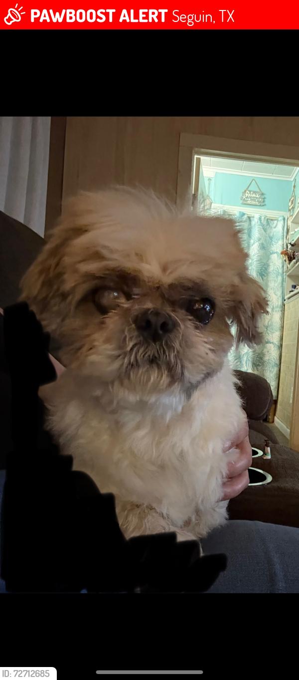 Lost Male Dog last seen Near Riley Road, Seguin, TX 78155