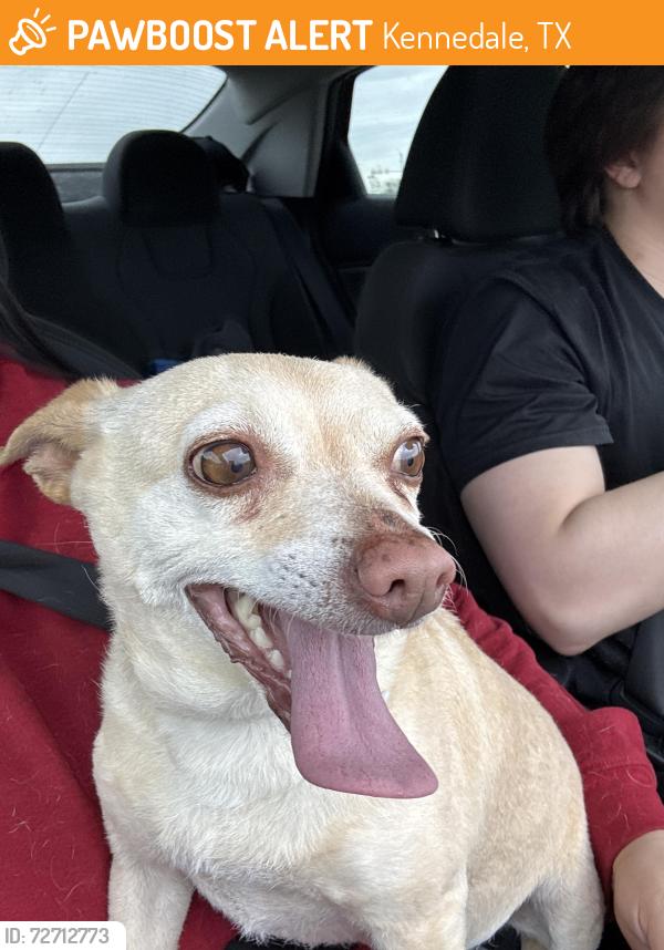 Found/Stray Female Dog last seen By Walmart, Kennedale, TX 76016