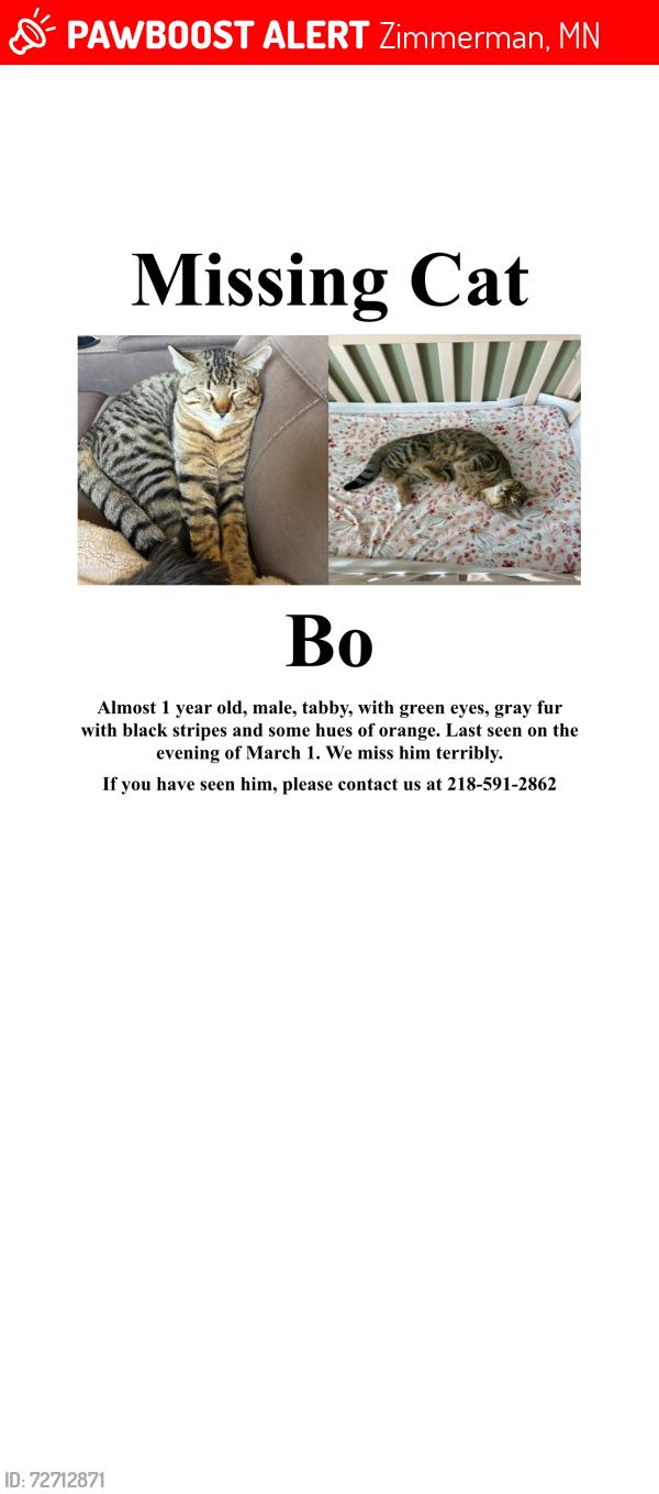 Lost Male Cat last seen Near Fourth St W Zimmerman, MN  55398 United States, Zimmerman, MN 55398