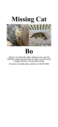 Lost Male Cat last seen Near Fourth St W Zimmerman, MN  55398 United States, Zimmerman, MN 55398