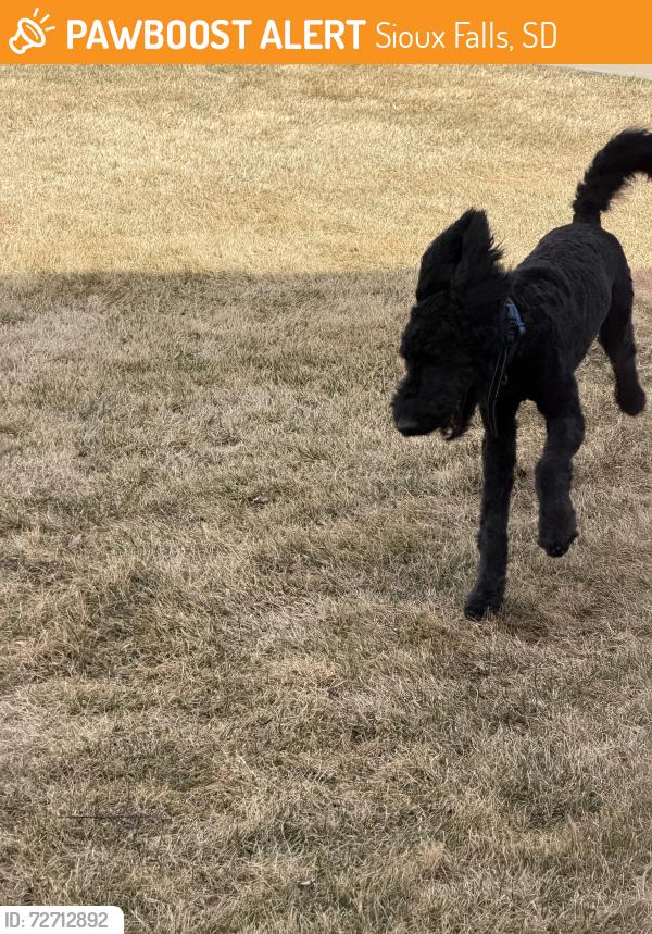 Found/Stray Unknown Dog last seen Rosa Park School, Sioux Falls, SD 57110