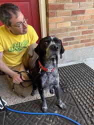Found/Stray Male Dog last seen Near SE Stark st, Portland, OR 97215