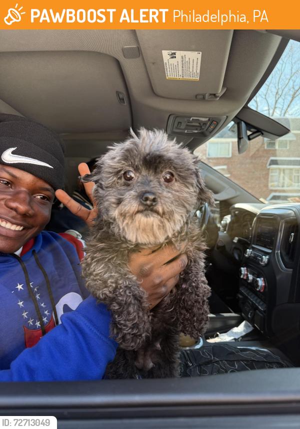 Found/Stray Female Dog last seen Ashton & Willits , Philadelphia, PA 19114