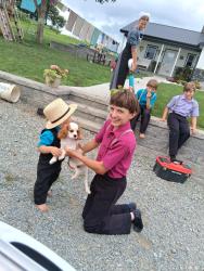 Lost Female Dog last seen Near Lilac Dr, New Providence Pa , New Providence, PA 17560