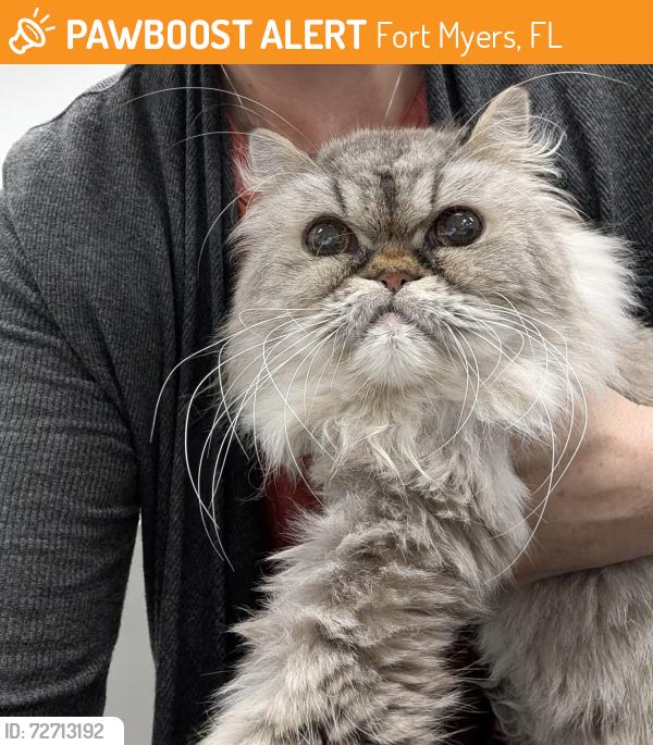 Found/Stray Male Cat last seen Lee Health: 9981 S HealthPark Dr, Fort Myers, FL 33908 , Fort Myers, FL 33908