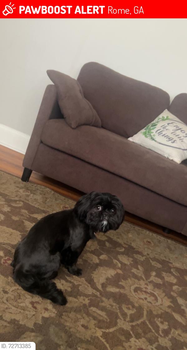 Lost Female Dog last seen Near Williamson st Rome ga 30165, Rome, GA 30165