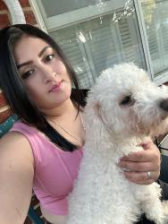 Lost Male Dog last seen Oawood, Glen Burnie, MD 21061