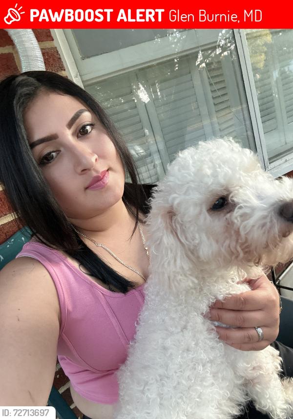 Lost Male Dog last seen Oawood, Glen Burnie, MD 21061