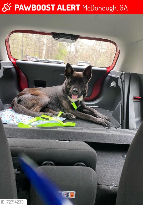 Lost Male Dog last seen Colton creek apmts, McDonough, GA 30253