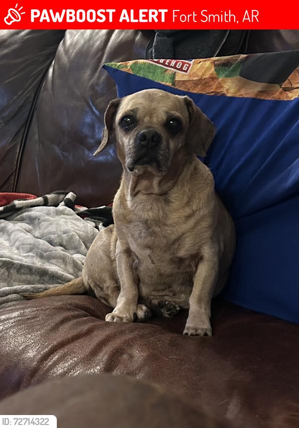 Lost Male Dog last seen Ben Geren Park, Fort Smith, AR 72916
