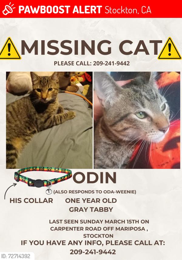 Lost Male Cat last seen Carpenter rd/mariposa rd, Stockton, CA 95215