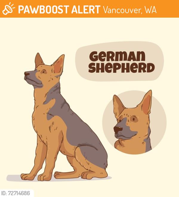 Found/Stray Unknown Dog last seen NE 111th St. and NE 27th Ave., Vancouver, WA 98686
