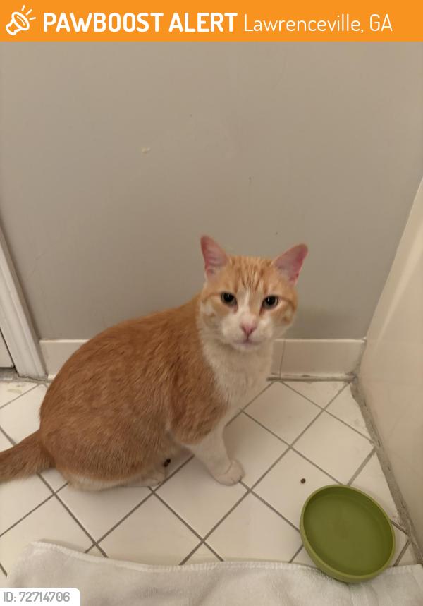 Found/Stray Unknown Cat last seen Mill Rock St and Providence Dr, Lawrenceville, GA 30044