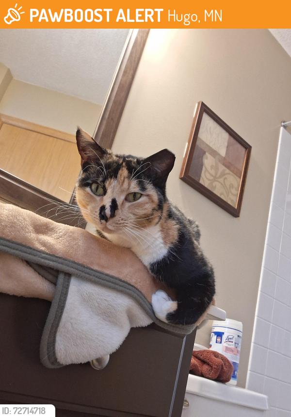 Found/Stray Female Cat last seen 140th st near Hugo Public works, Hugo, MN 55038