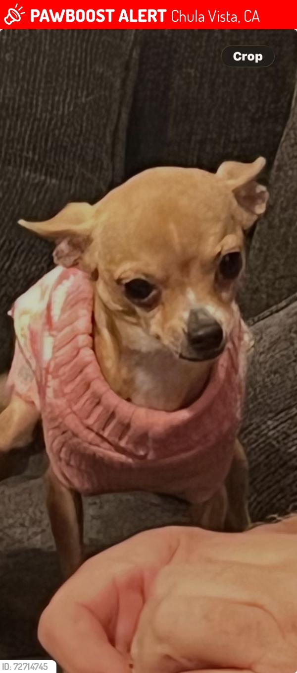 Lost Female Dog last seen I street Chula Vista, Chula Vista, CA 91910
