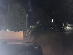 Found/Stray Unknown Dog last seen In the street on sunshine terrace, Los Angeles, CA 91604