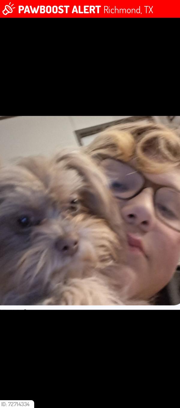 Lost Female Dog last seen Tara Plantation, Crabb River Rd, Greatwood, Richmond, TX 77469