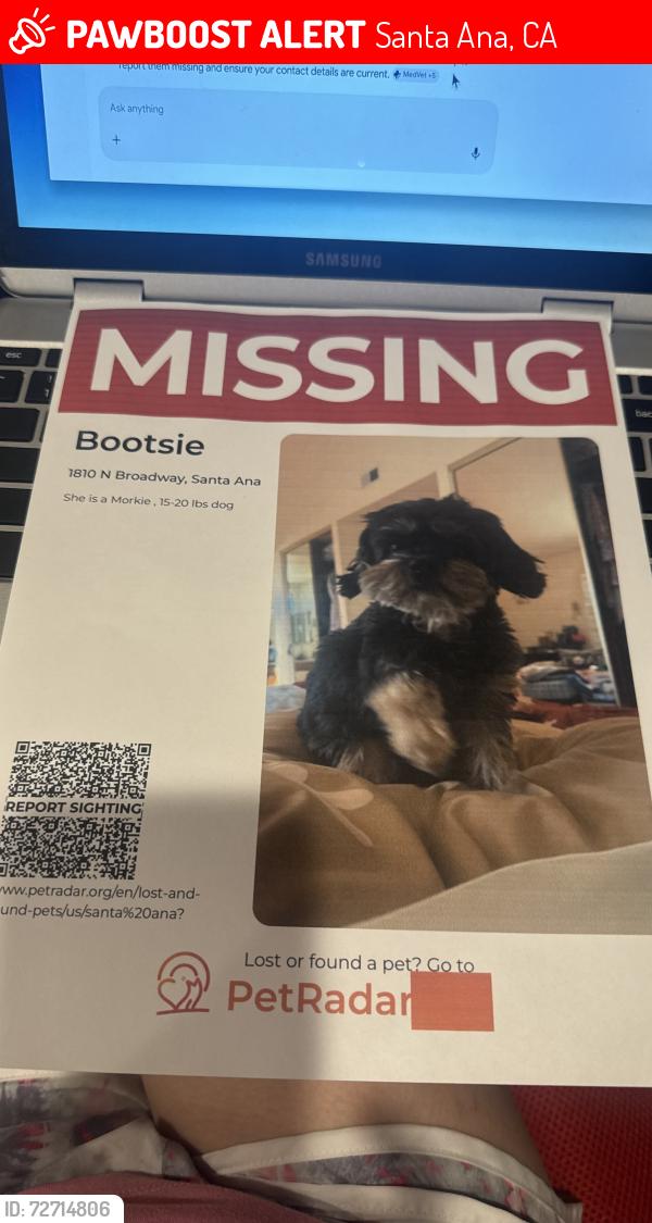 Lost Female Dog last seen 17th st and 1810 N Broadway st , Santa Ana , Santa Ana, CA 92706
