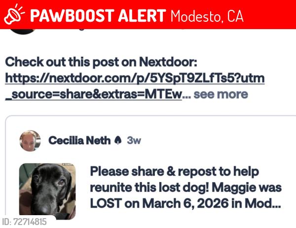 Lost Female Dog last seen Tully, Modesto, CA 95350