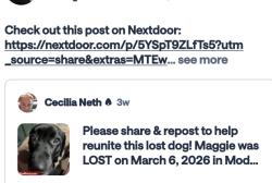 Lost Female Dog last seen Tully, Modesto, CA 95350