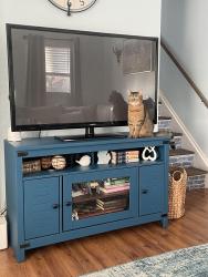 Lost Female Cat last seen 13 mile, St. Clair Shores, MI 48082