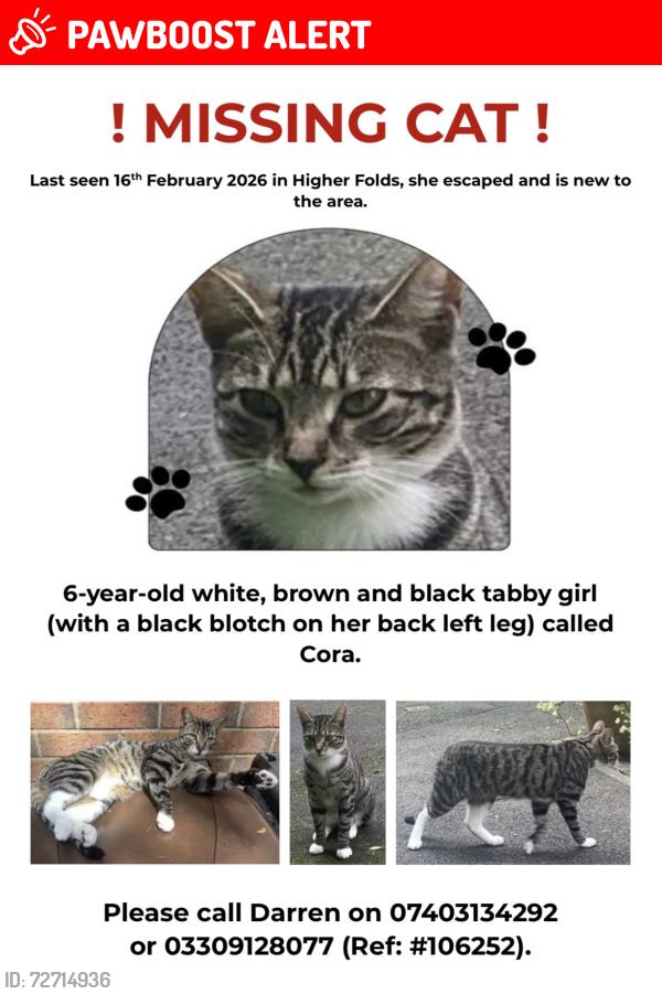 Lost Female Cat last seen Bowden Green Drive, Greater Manchester, England WN7