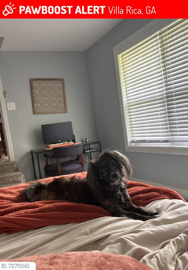 Lost Male Dog last seen Cown Rd, Lake Paradise area, Villa Rica, GA 30180