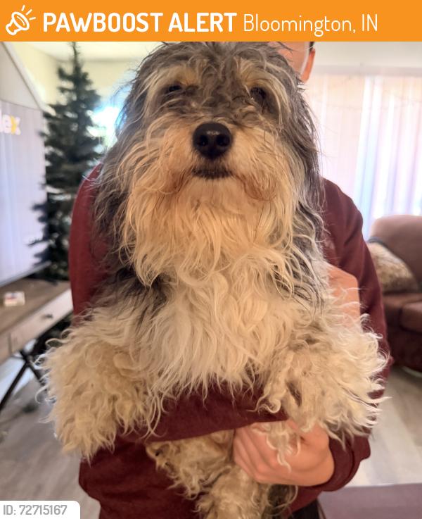 Found/Stray Unknown Dog last seen Poodle mix, about 10 lbs, near Millennium apmts, 1200 S. Rolling Ridge Way, Bloomington, IN 47403