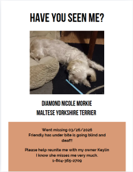 Lost Female Dog last seen Nine Mile road, Richmond, VA 23223