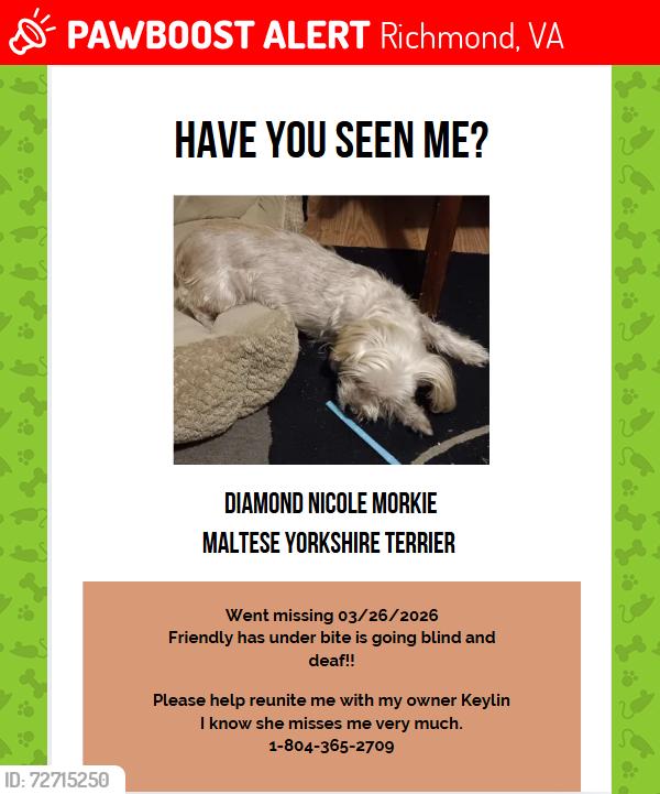 Lost Female Dog last seen Nine Mile road, Richmond, VA 23223