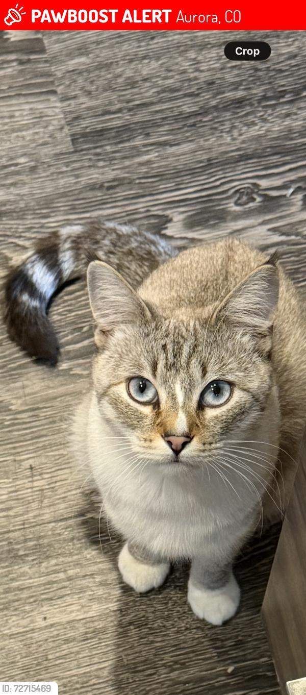 Lost Female Cat last seen Near e Vassar Avenue , Aurora, CO 80014