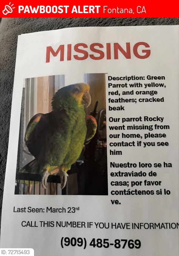 Lost Male Bird last seen Alder, Fontana, CA 92331