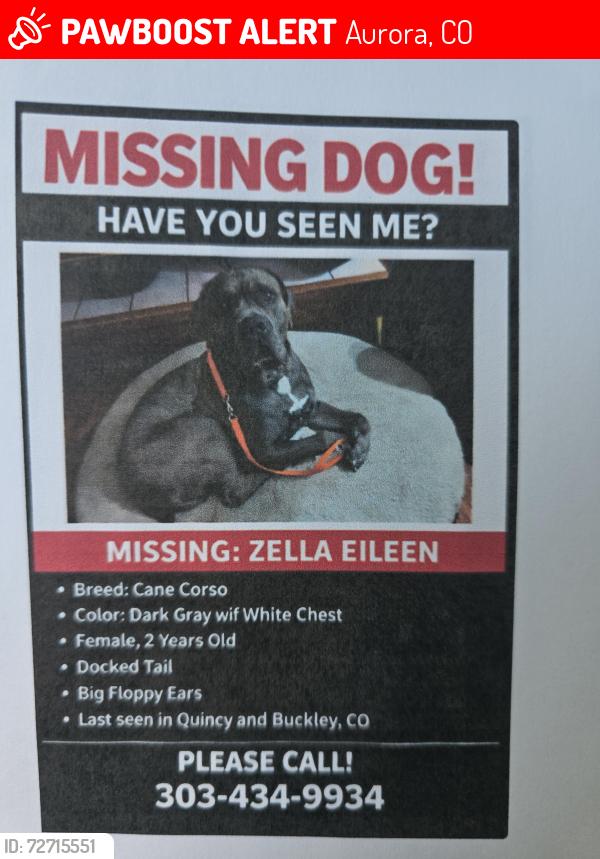 Lost Female Dog last seen Quincy and Buckley, Aurora, CO 80013